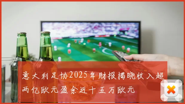 意大利足协2025年财报揭晓收入超两亿欧元盈余近十五万欧元